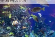 长风公园海洋世界和海昌海洋公园_长风公园好还是海昌公园好