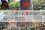 南宁人民公园蝴蝶谷,广西南宁人民公园