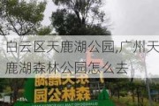 白云区天鹿湖公园,广州天鹿湖森林公园怎么去