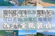 汕尾红海湾旅游攻略学生可以去吗,汕尾红海湾可以下海吗