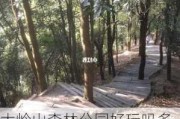 大岭山森林公园好玩吗多少钱一位_大岭山森林公园好玩吗多少钱