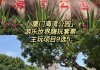 厦门海湾公园打卡点_厦门海湾公园游乐场门票多少