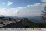 鲁山森林公园篮球场_鲁山森林公园电话号码