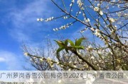 广州萝岗香雪公园梅花节2024_广州香雪公园梅花开了没有