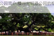 福州光明港公园简介,福州光明港公园的榕树林在哪个位置