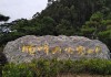 佛山顺峰山公园门票多少钱,佛山顺峰山好玩吗