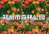 郑州森林公园一日游攻略-郑州森林公园在哪里