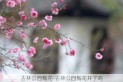 古林公园梅花-古林公园梅花开了吗