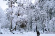 雪乡旅游攻略5天-雪乡旅游景区