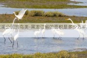 浣花溪公园的鸟类-黑龙江省的面积是多少万平方公里