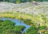 省有什么车萝岗香雪公园-萝岗香雪公园附近景点