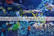 深圳海洋公园怎么去,深圳海洋世界怎么去