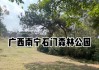 广西石门森林公园封路了吗今天_广西石门森林公园