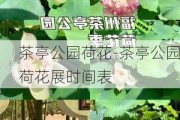 茶亭公园荷花-茶亭公园荷花展时间表