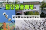 广州箩岗香雪公园,广州萝岗香雪公园游记