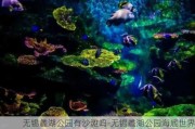 无锡蠡湖公园有沙滩吗-无锡蠡湖公园海底世界