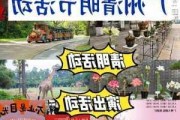 广州清明节旅游攻略,广州清明节旅游攻略大全