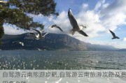 自驾游云南旅游攻略,自驾游云南旅游攻略及费用多少钱