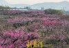 济南南部山区景点桃花-济南南部山区世外桃源