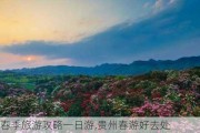 贵州春季旅游攻略一日游,贵州春游好去处