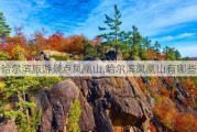 哈尔滨旅游景点凤凰山,哈尔滨凤凰山有哪些景点