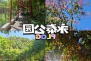 永泰公园公交站,永泰公园面积