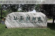 唐城墙遗址公园图片-唐城墙遗址公园