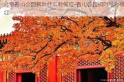 北京香山公园枫叶什么时候红-香山公园枫叶啥时候红