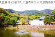 天童森林公园门票,天童森林公园流浪猫还在吗