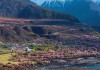 林芝旅游攻略必去景点推荐-林芝旅游必去的景点