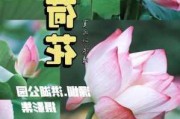 深圳东湖公园景点介绍-深圳洪湖公园荷花展时间