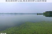 青龙湖郊野公园,青龙湖郊野公园在哪里