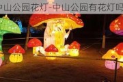 06年中山公园花灯-中山公园有花灯吗