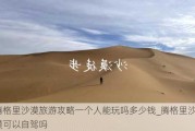 腾格里沙漠旅游攻略一个人能玩吗多少钱_腾格里沙漠可以自驾吗