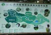 原始森林公园游玩攻略-原始森林公园旅游攻略