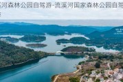 流溪河森林公园自驾游-流溪河国家森林公园自驾游推荐