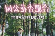 合肥杏花公园在哪里-合肥杏花公园在哪条路上