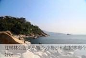 红树林公园大小梅沙,小梅沙和红树林哪个好玩