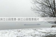 滨江公园雪景-滨江公园雪景图片