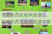 河南到西双版纳旅游团,河南到西双版纳旅游攻略