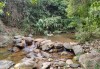 厦门天竺山森林公园简介,夏门天竺山森林公园