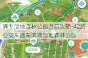 滨湖湿地森林公园游玩攻略-42路公交车通车滨湖湿地森林公园