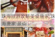 珠海旅游攻略美食唐家,珠海唐家 景点