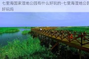 七里海国家湿地公园有什么好玩的-七里海湿地公园好玩吗