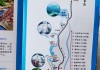 广州增城区白水寨具体地址-广州增城白水寨攻略