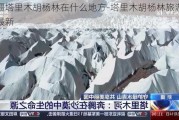 新疆塔里木胡杨林在什么地方-塔里木胡杨林旅游攻略最新