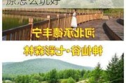 坝上草原游旅游攻略-坝上草原旅游攻略去坝上草原怎么玩好