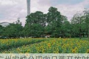 广州宏城公园向日葵开放时间-2021年广州宏城公园向日葵