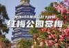 常州市红梅公园-常州市红梅公园简介