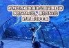 杭州极地海洋公园门票好贵-杭州极地海洋公园门票